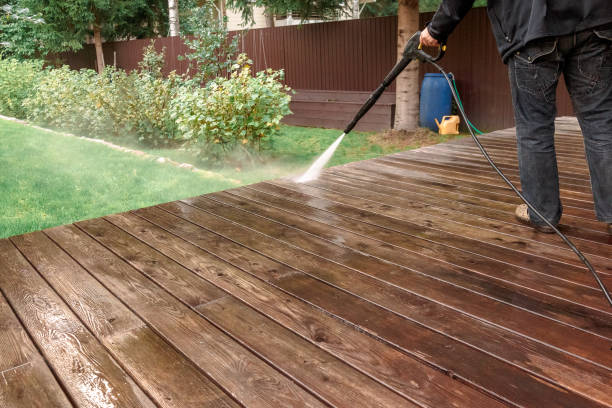 Best Pre-Holiday Cleaning  in Black Creek, WI